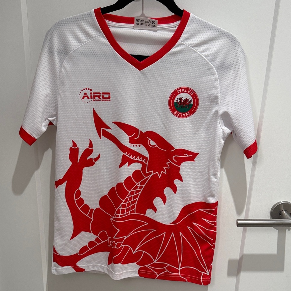 AIRO Wales Men's Jersey